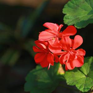 快操我的大骚穴
