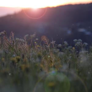 快操我的大骚穴
